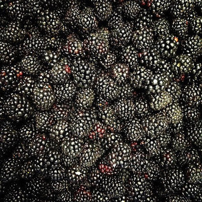 obsidian BLACKBERRY jam